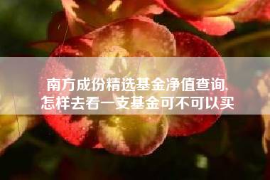 南方成份精选基金净值查询,
怎样去看一支基金可不可以买