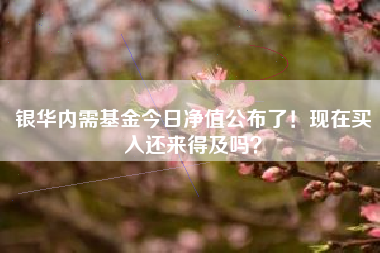 银华内需基金今日净值公布了！现在买入还来得及吗？