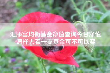 汇添富均衡基金净值查询今日净值,
怎样去看一支基金可不可以买