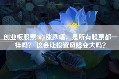 创业板股票20%涨跌幅，是所有股票都一样吗？ 这会让投资风险变大吗？