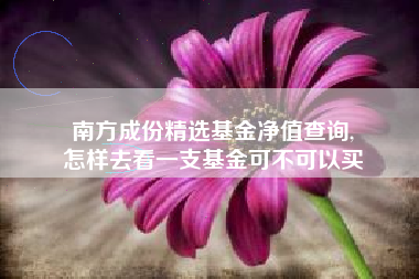 南方成份精选基金净值查询,
怎样去看一支基金可不可以买