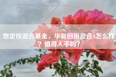 想定投混合基金，华夏回报混合A怎么样？值得入手吗？