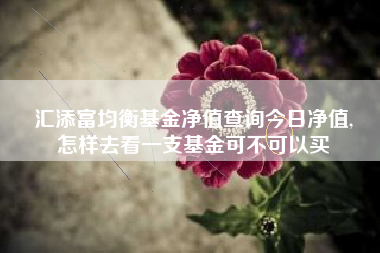 汇添富均衡基金净值查询今日净值,
怎样去看一支基金可不可以买