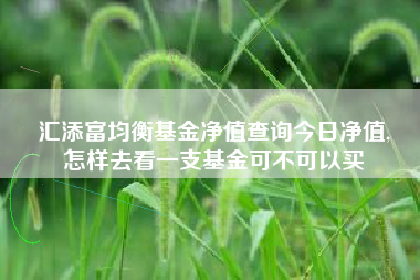 汇添富均衡基金净值查询今日净值,
怎样去看一支基金可不可以买