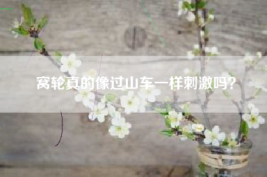 窝轮真的像过山车一样刺激吗？