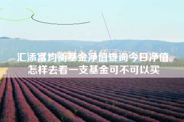 汇添富均衡基金净值查询今日净值,
怎样去看一支基金可不可以买