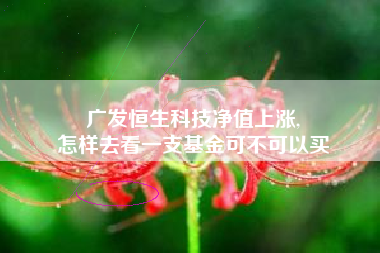 广发恒生科技净值上涨,
怎样去看一支基金可不可以买