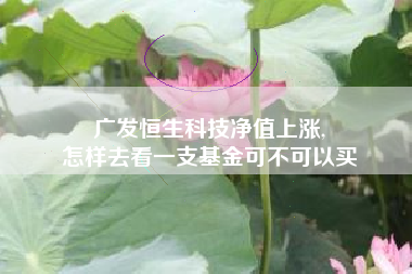 广发恒生科技净值上涨,
怎样去看一支基金可不可以买