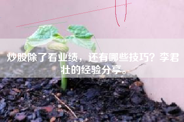 炒股除了看业绩，还有哪些技巧？李君壮的经验分享。