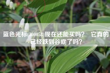 蓝色光标(300058)现在还能买吗？  它真的已经跌到谷底了吗？
