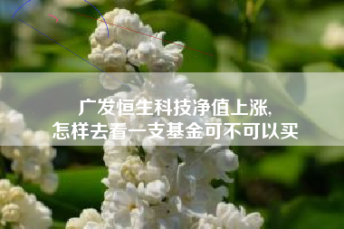 广发恒生科技净值上涨,
怎样去看一支基金可不可以买