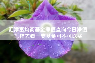 汇添富均衡基金净值查询今日净值,
怎样去看一支基金可不可以买