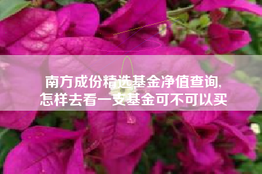 南方成份精选基金净值查询,
怎样去看一支基金可不可以买