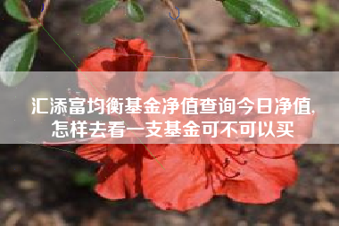 汇添富均衡基金净值查询今日净值,
怎样去看一支基金可不可以买