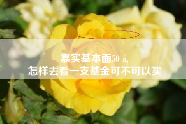 嘉实基本面50 a,
怎样去看一支基金可不可以买