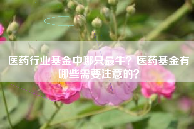 医药行业基金中哪只最牛?医药基金有哪些需要注意的?