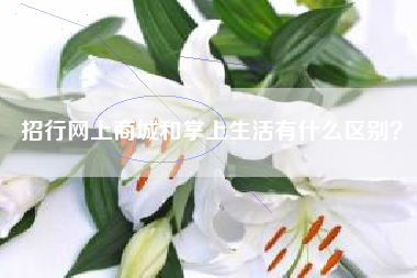 招行网上商城和掌上生活有什么区别？