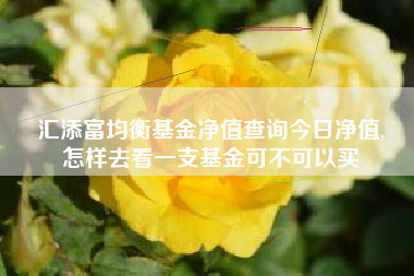 汇添富均衡基金净值查询今日净值,
怎样去看一支基金可不可以买