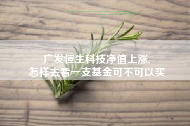 广发恒生科技净值上涨,
怎样去看一支基金可不可以买