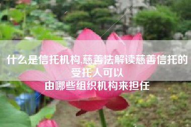 什么是信托机构,慈善法解读慈善信托的受托人可以
由哪些组织机构来担任 什么是信托机构,慈善法解读慈善信托的受托人可以
由哪些组织机构来担任