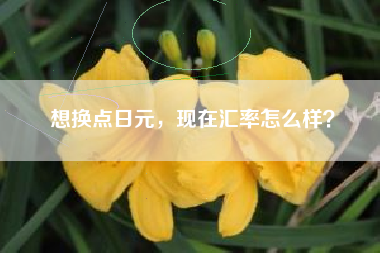 想换点日元，现在汇率怎么样？