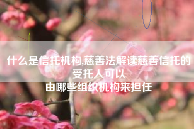 什么是信托机构,慈善法解读慈善信托的受托人可以
由哪些组织机构来担任 什么是信托机构,慈善法解读慈善信托的受托人可以
由哪些组织机构来担任