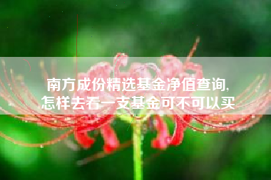 南方成份精选基金净值查询,
怎样去看一支基金可不可以买