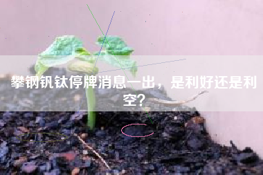 攀钢钒钛停牌消息一出，是利好还是利空？