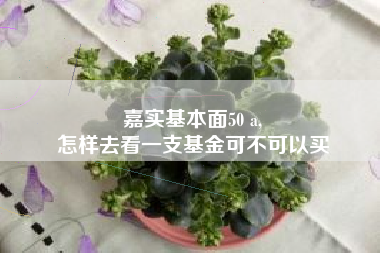 嘉实基本面50 a,
怎样去看一支基金可不可以买