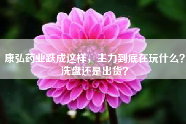 康弘药业跌成这样，主力到底在玩什么？洗盘还是出货？