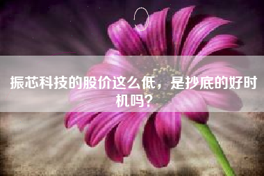 振芯科技的股价这么低，是抄底的好时机吗？