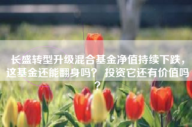 长盛转型升级混合基金净值持续下跌，这基金还能翻身吗？ 投资它还有价值吗？