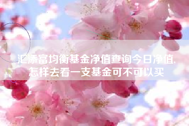 汇添富均衡基金净值查询今日净值,
怎样去看一支基金可不可以买