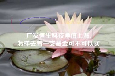 广发恒生科技净值上涨,
怎样去看一支基金可不可以买