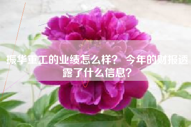振华重工的业绩怎么样? 今年的财报透露了什么信息?