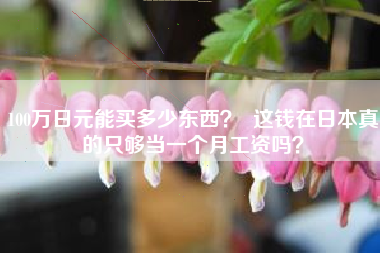 100万日元能买多少东西? 这钱在日本真的只够当一个月工资吗?