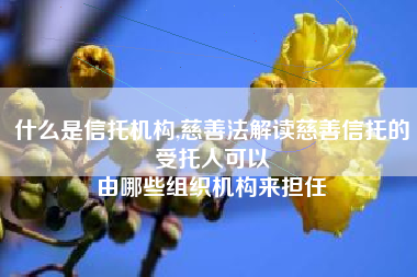 什么是信托机构,慈善法解读慈善信托的受托人可以
由哪些组织机构来担任 什么是信托机构,慈善法解读慈善信托的受托人可以
由哪些组织机构来担任