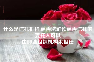 什么是信托机构,慈善法解读慈善信托的受托人可以
由哪些组织机构来担任 什么是信托机构,慈善法解读慈善信托的受托人可以
由哪些组织机构来担任