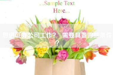 想进证券公司工作？  需要具备哪些条件？