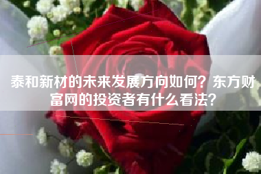 泰和新材的未来发展方向如何？东方财富网的投资者有什么看法？