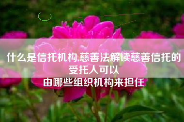 什么是信托机构,慈善法解读慈善信托的受托人可以
由哪些组织机构来担任 什么是信托机构,慈善法解读慈善信托的受托人可以
由哪些组织机构来担任