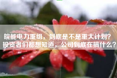 皖能电力重组，到底是不是重大计划？ 投资者们都想知道，公司到底在搞什么？