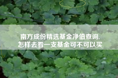 南方成份精选基金净值查询,
怎样去看一支基金可不可以买