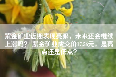 紫金矿业近期表现亮眼,未来还会继续上涨吗? 紫金矿业成交价17.56元,是高点还是低点?