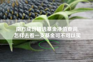 南方成份精选基金净值查询,
怎样去看一支基金可不可以买