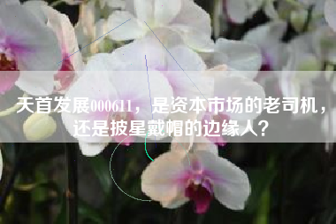 天首发展000611,是资本市场的老司机,还是披星戴帽的边缘人?