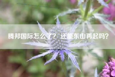 腾邦国际怎么了? 还能东山再起吗?