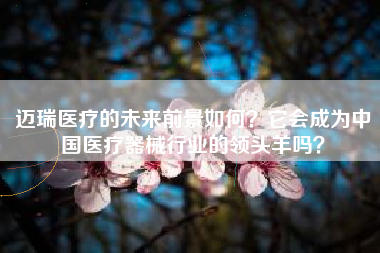 迈瑞医疗的未来前景如何？它会成为中国医疗器械行业的领头羊吗？