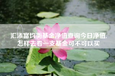 汇添富均衡基金净值查询今日净值,
怎样去看一支基金可不可以买
