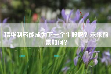精华制药能成为下一个牛股吗?未来前景如何?